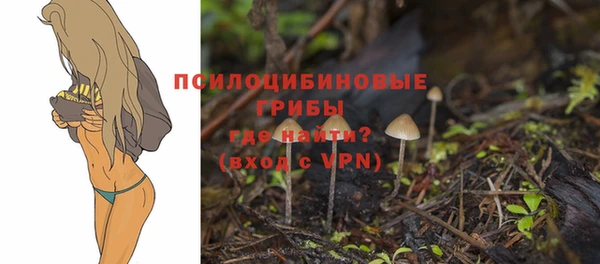 молекула духа Алексеевка