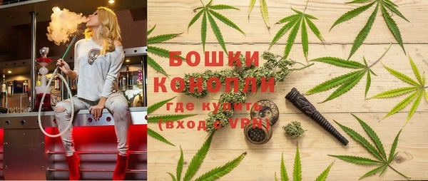 молекула духа Алексеевка