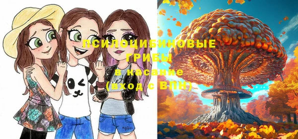 соль курить ск Алзамай