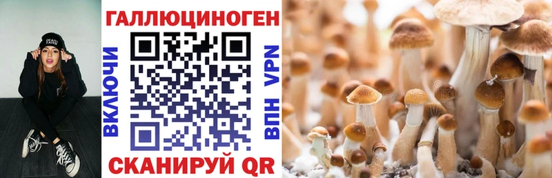 Псилоцибиновые грибы прущие грибы Геленджик
