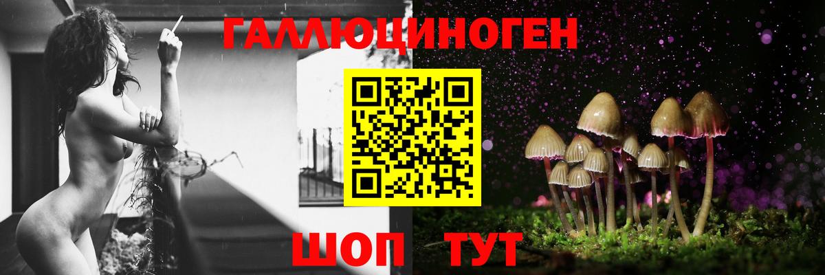 Псилоцибиновые грибы мухоморы  Псилоцибиновые грибы GOLDEN TEACHER  Вход с VPN  Геленджик 