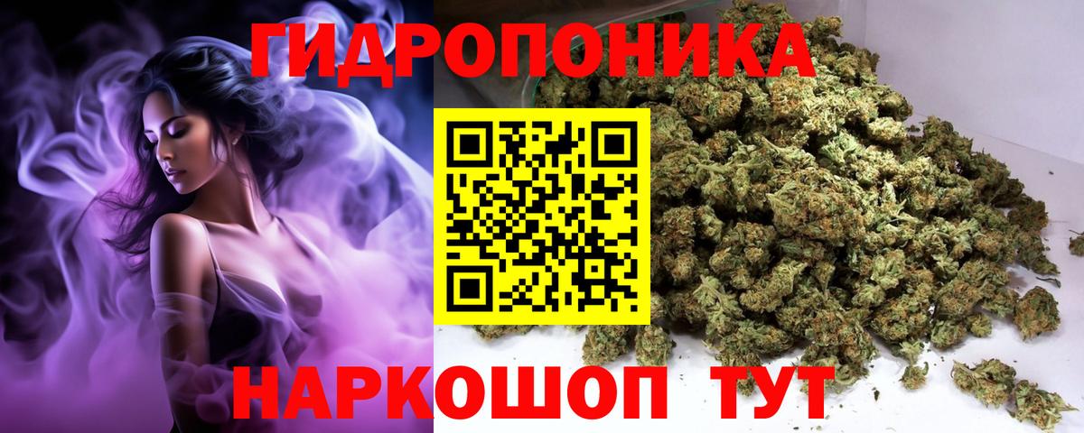 Бошки марихуана сатива Геленджик